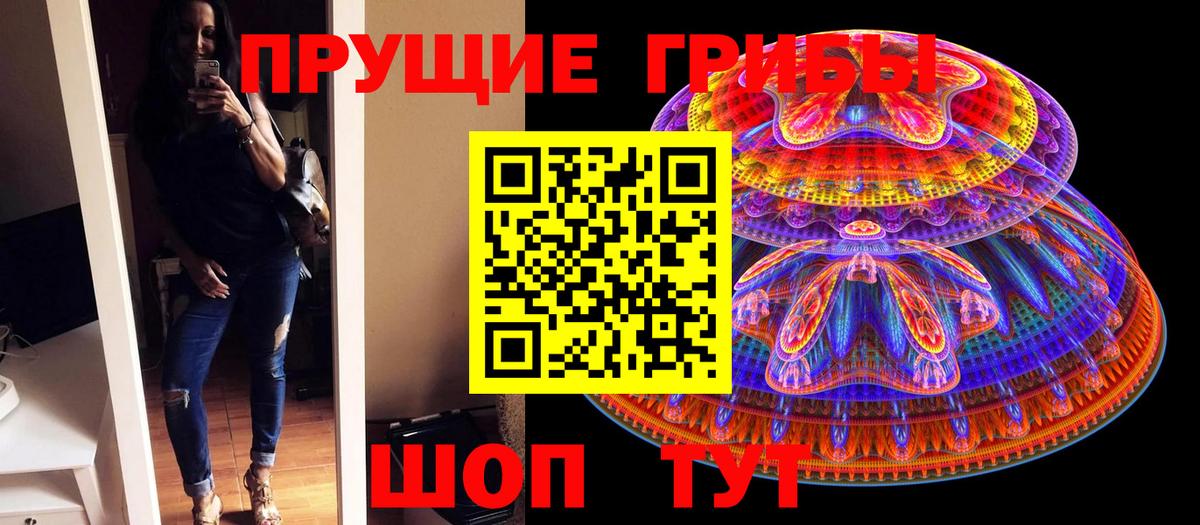 Галлюциногенные грибы Cubensis Железногорск